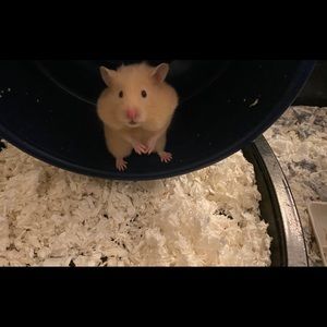 Meet your Posher, Jack